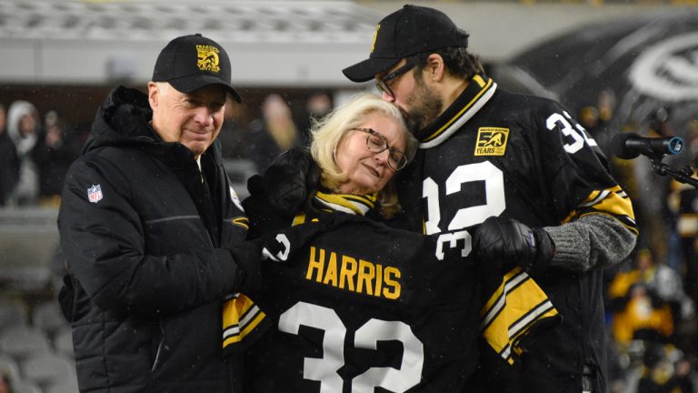 love story of Dana Dokmanovich and Franco Harris